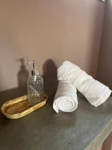 a roll of toilet paper and a soap dispenser on a counter at La Tranquila Suites de Campo in Victoria