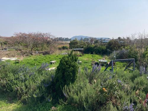 Φυσικό τοπίο κοντά σε αυτό το hostel