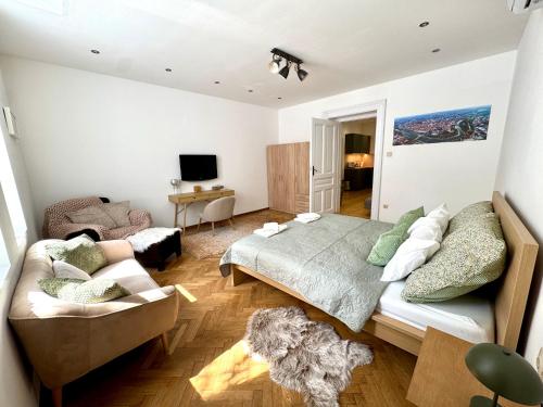 TV a/nebo společenská místnost v ubytování Central 13 Apartman