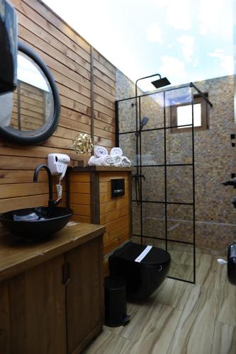 a bathroom with a sink and a mirror at Magareće Mleko Eko Farma Sisevac Wellness&Spa in Paraćin