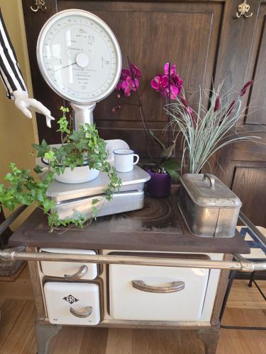 a table with a clock and plants on it at Hotel Grenzenlos im Alten Gut in Würzburg