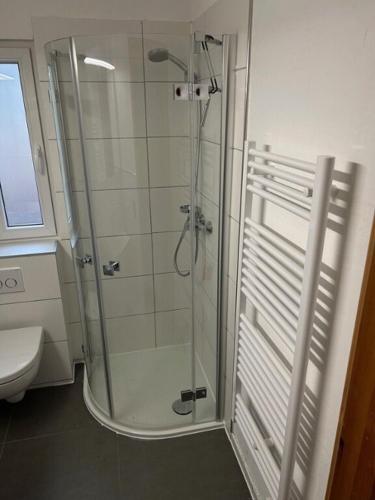 a bathroom with a shower and a toilet at Ferienhaus Henri in Bruderhalde