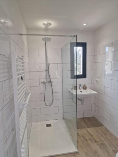 une salle de bain avec douche et lavabo dans l'établissement Villa vue mer, montagne piscine, à La Gondière