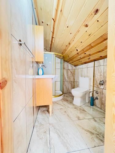 a bathroom with a toilet and a sink at Desera Pansiyon in Uzungöl