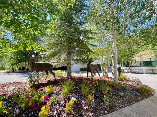 Άλλα ζώα σε αυτή η παραθεριστική κατοικία ή στη γύρω περιοχή