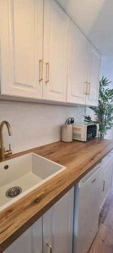 un comptoir de cuisine avec un évier et un micro-ondes dans l'établissement Farah Studio, à Cannes