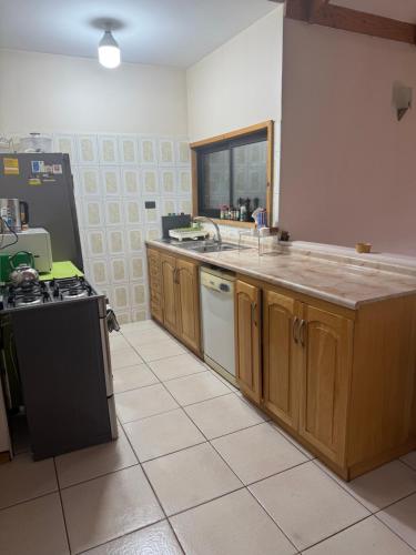 a kitchen with a counter and a sink and a stove at Casa Yemel in Coihaique
