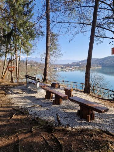 a group of picnic tables in front of a lake at Suita beli Labod in Medvode