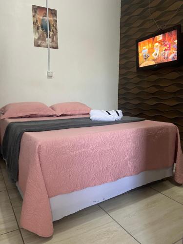 a bed with a pink blanket and a tv on a wall at Rosy Flat in Petrolina