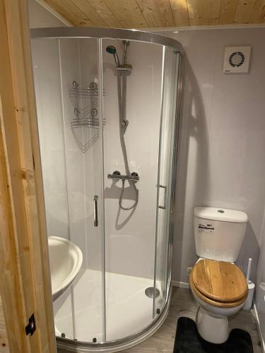 a bathroom with a shower with a toilet and a sink at Lakeside Lodge 1, with Log burning Hot Tub in Everton