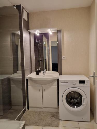 une salle de bain avec une machine à laver et un lavabo dans l'établissement La suite jacuzzi, à Pau
