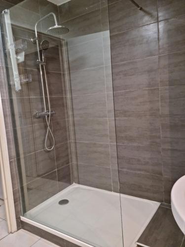 une douche avec une porte vitrée dans une salle de bain dans l'établissement La suite jacuzzi, à Pau