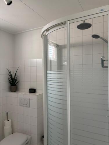 a bathroom with a glass shower with a toilet at B&B slapen in de veenhoop in De Veenhoop