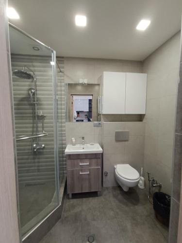 a bathroom with a shower and a sink and a toilet at Rent Inn Yerevan on Koghbaci Street in Yerevan