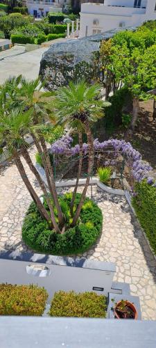 a garden with palm trees and purple flowers at Villa Giardini Luxury Room in Capri