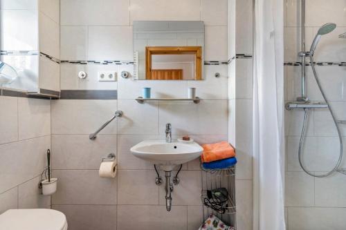 ein kleines Badezimmer mit Waschbecken und Dusche in der Unterkunft Grenznah Garten Ruhig in Ladelund