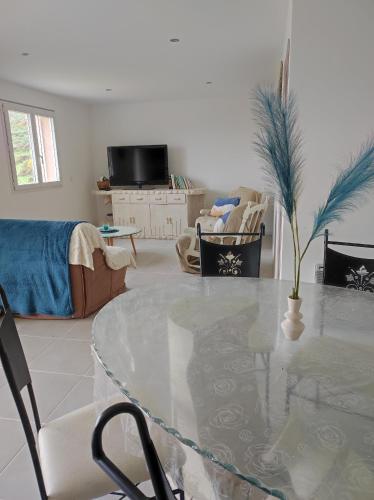 un salon avec une table en verre et un canapé dans l'établissement Grand F2 vue montagne, à Olmeta-di-Tuda