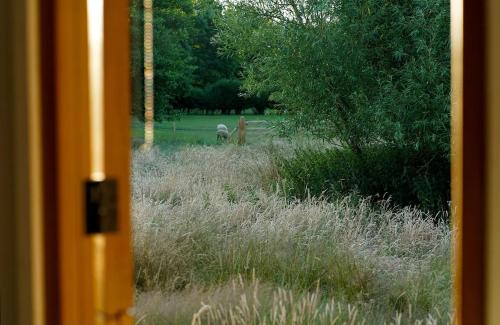 a field of tall grass with two people in it at Humphrey Hut in Southborough