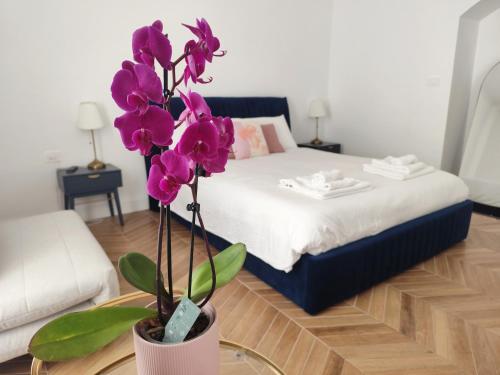 Vatican Eco Suite