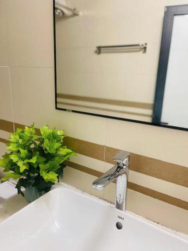 a bathroom sink with a mirror and a plant at Nhà nghỉ Thường Nga in Cat Ba