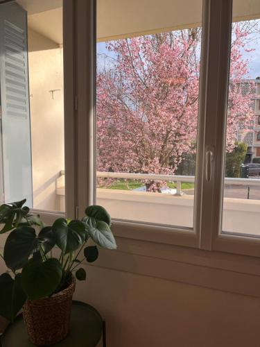 Κήπος έξω από το New & Cozy