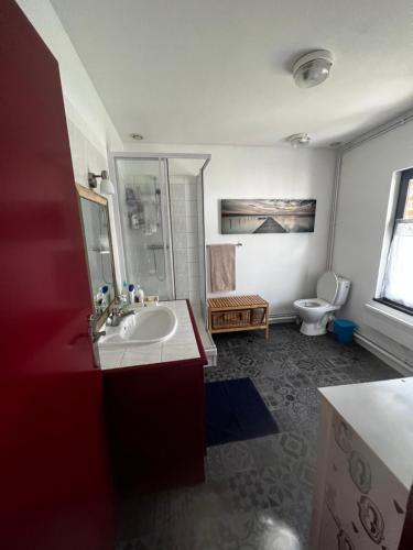 a bathroom with a sink and a toilet at Hôtel de l image in Vouzon