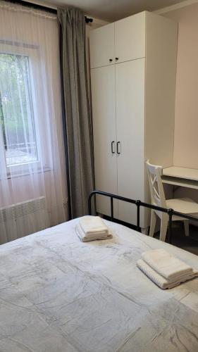 Postel nebo postele na pokoji v ubytování Vila Cedar sa grejanjem