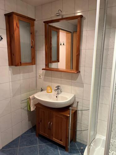 a bathroom with a sink and a mirror and a shower at Haus Vogelsberger in Fulpmes