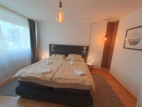 デュースブルクにあるDuisburg Zentral 2の大きなベッドと2つの枕がある寝室