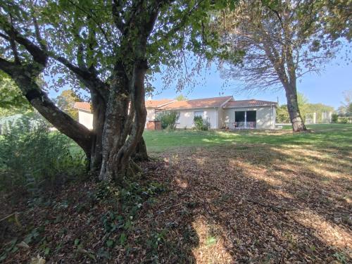 Billede fra billedgalleriet på Lou barede i Montagne