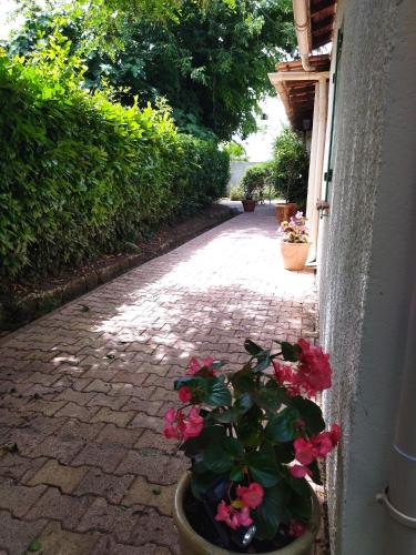 Photo de la galerie de l'établissement Calme, familiale ,charmante, à Castries