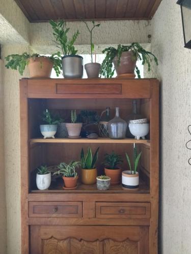 Photo de la galerie de l'établissement Calme, familiale ,charmante, à Castries