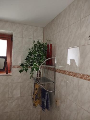 a bathroom with a potted plant on the wall at Domček u Alina in Žiar