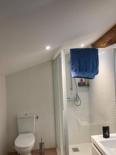 La salle de bains est pourvue de toilettes et d'une douche avec une serviette bleue. dans l'établissement Loft Hyper centre Saintes, à Saintes