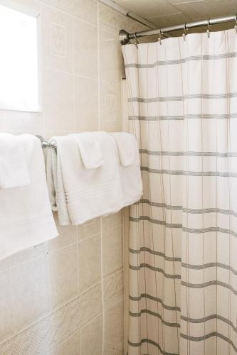 a bathroom with a shower curtain and towels at Beaver Creek Cabin 2 in Strasburg