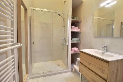 une salle de bain avec douche et lavabo dans l'établissement Les Beaux-Arts - Duplex au Centre Ville, à Bourges