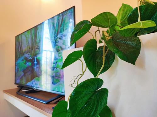 Televisyen dan/atau pusat hiburan di Refúgio da Moleira