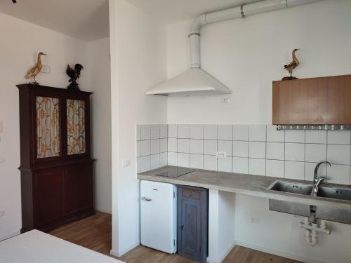 Dapur atau dapur kecil di Hoarder's Home Gallery