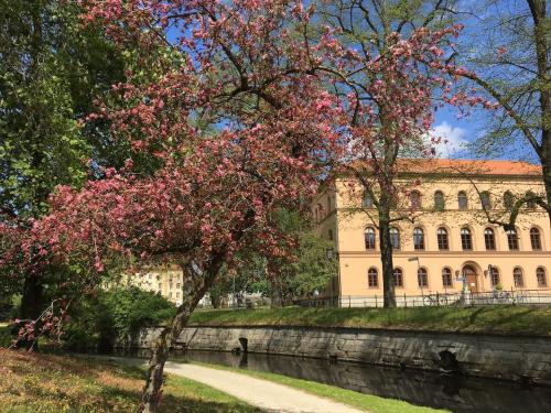 Zahrada ubytování House of Aurelie