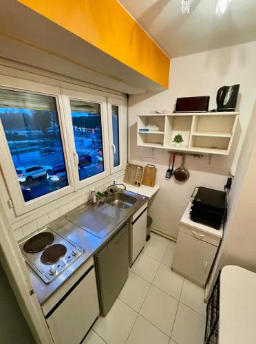 une petite cuisine avec un évier et une fenêtre dans l'établissement Geneva Residences Ferney-Voltaire, à Ferney-Voltaire