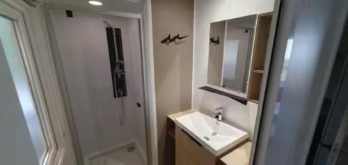 une salle de bain avec un lavabo, un miroir et une douche dans l'établissement Mobil-home climatisé 6 personnes, à Lège-Cap-Ferret