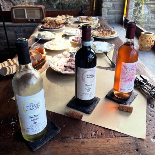 three bottles of wine sitting on a table with food at Agriturismo Poderi Zunino in Ponti