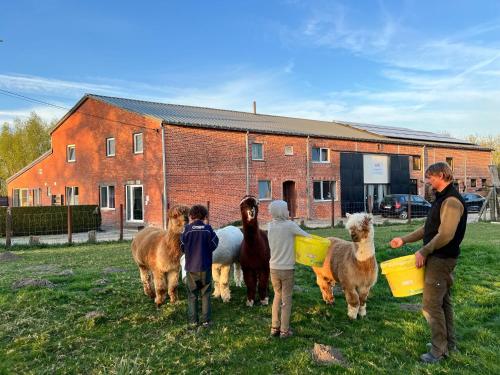 Děti v ubytování DE SMISHOEVE met kinderpret, dieren en wellness