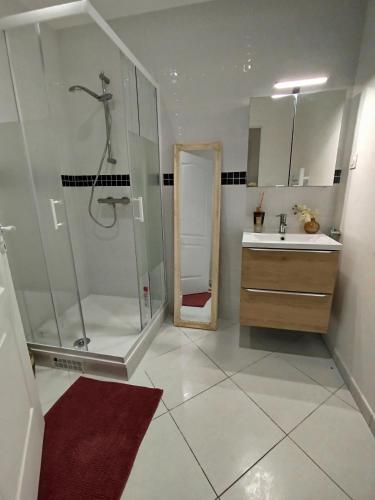 une salle de bain avec douche et lavabo dans l'établissement zen, à Dammarie-les-Lys