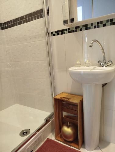 une salle de bain avec un lavabo et une douche dans l'établissement zen, à Dammarie-les-Lys