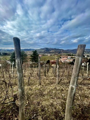 a fence in a field with cows in the background at Agriturismo Poderi Zunino in Ponti