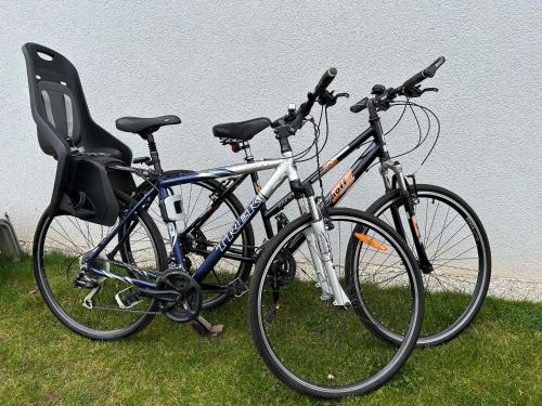 two bikes parked in the grass next to a wall at Hiša Ispira in Moravske Toplice