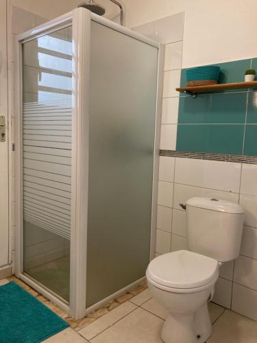 a bathroom with a toilet and a glass shower at Maison Les Abymes - Plage à 50m in Le Prêcheur