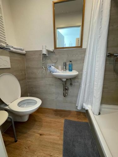 a bathroom with a toilet and a sink and a mirror at House LA Neuschwanstein Blick - Budget City Hotel in Füssen