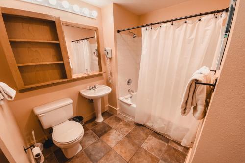 a bathroom with a toilet and a sink and a shower at Silver Mill 8239 by SummitCove Lodging in Keystone